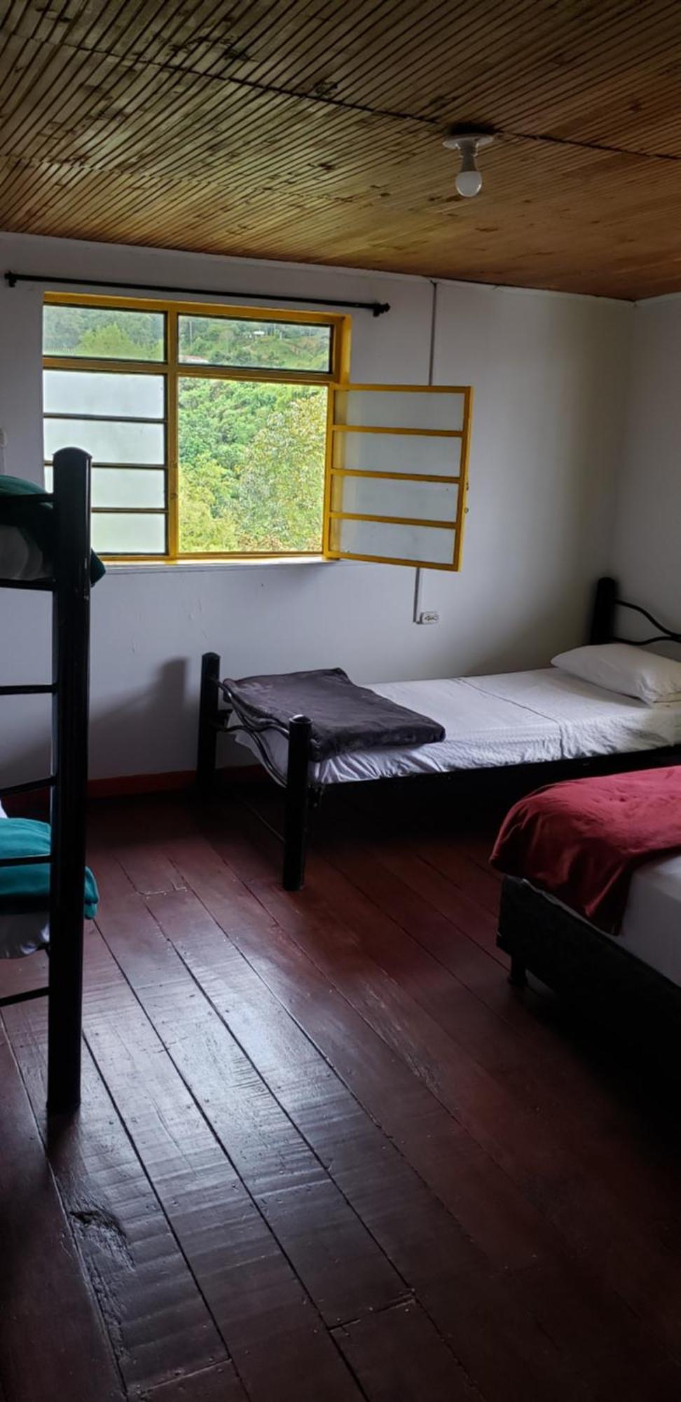 Palma de Cera Hostal Salento Habitación foto